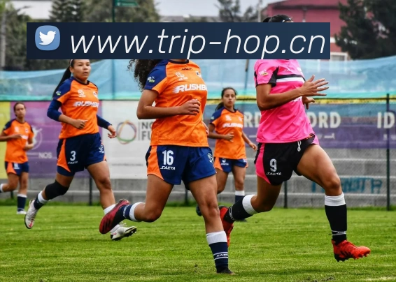 华体会官网首页登录入口平台生态图